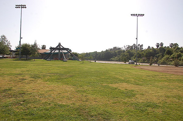 DSC 0245
