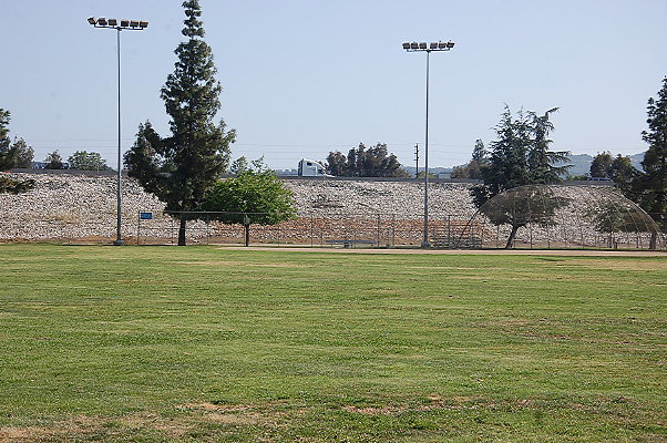 DSC 0241