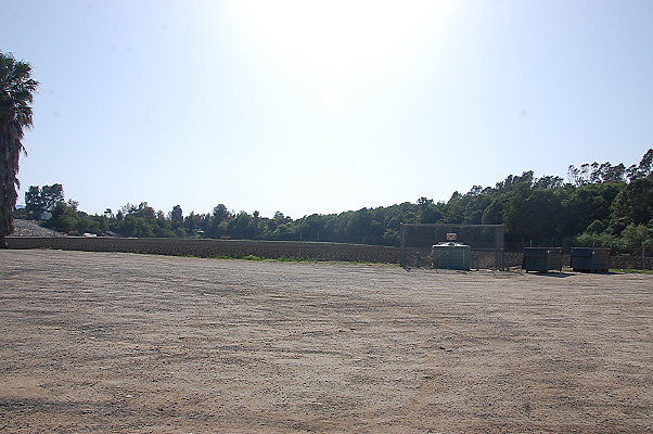 DSC 0254