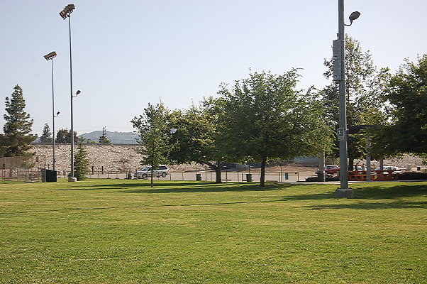 DSC 0247