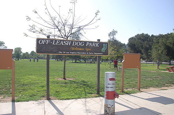 DSC 0157