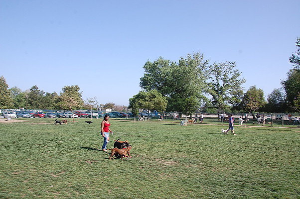 DSC 0171