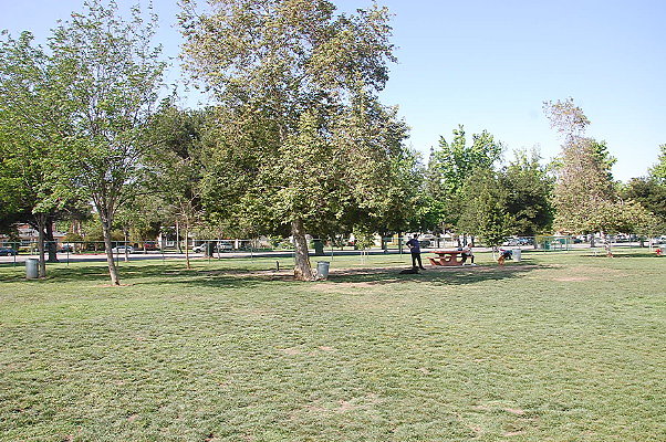 DSC 0182