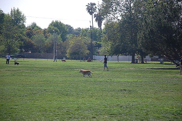 DSC 0168