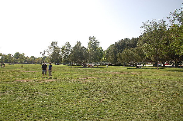 DSC 0178