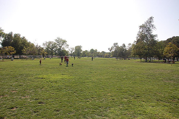 DSC 0159