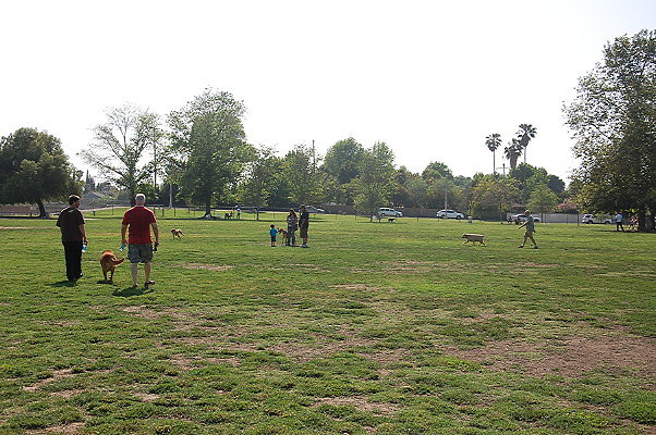DSC 0186