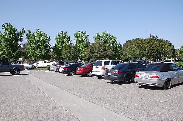 DSC 0151