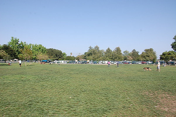 DSC 0183