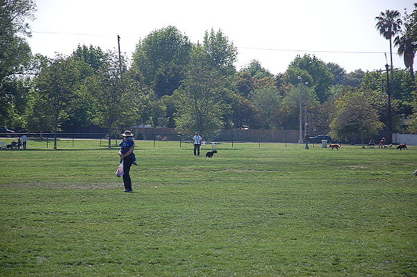DSC 0167