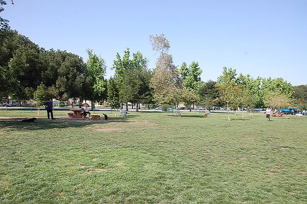 DSC 0180