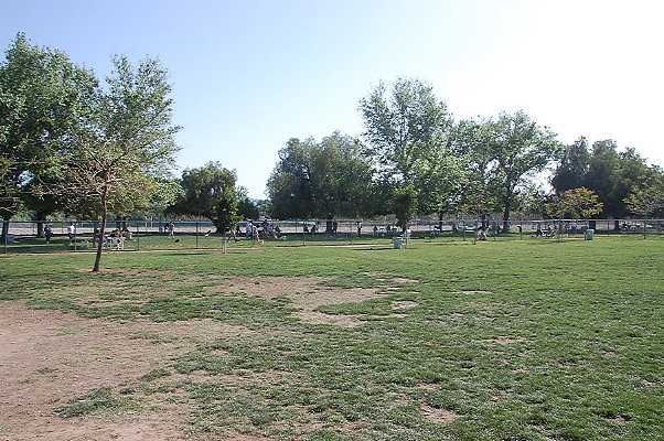 DSC 0158