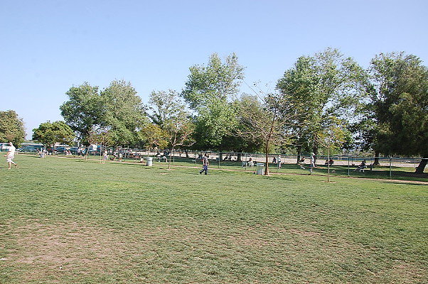 DSC 0184