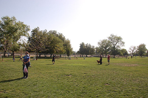 DSC 0173