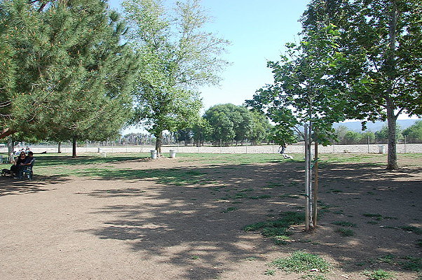 DSC 0121