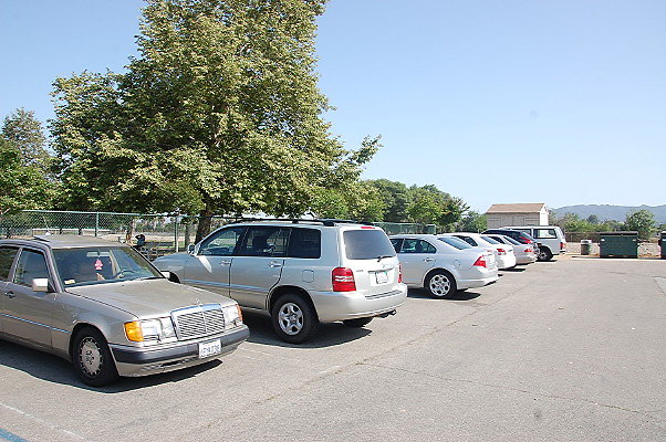 DSC 0109