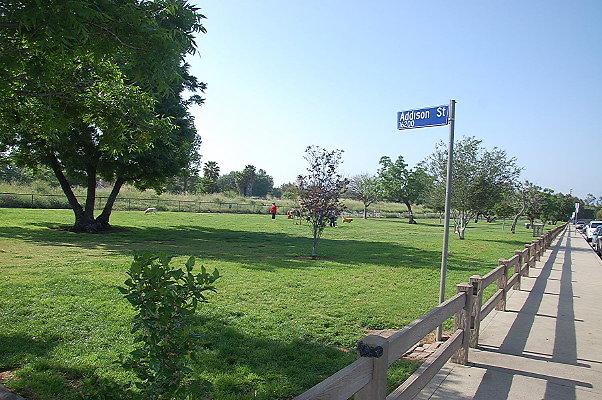 DSC 0279