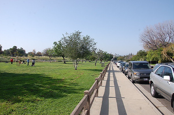 DSC 0284