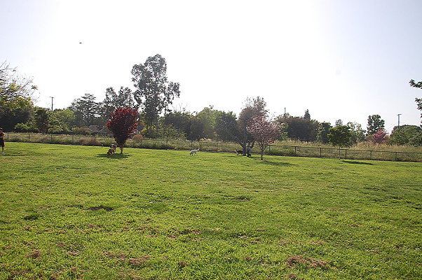 DSC 0263