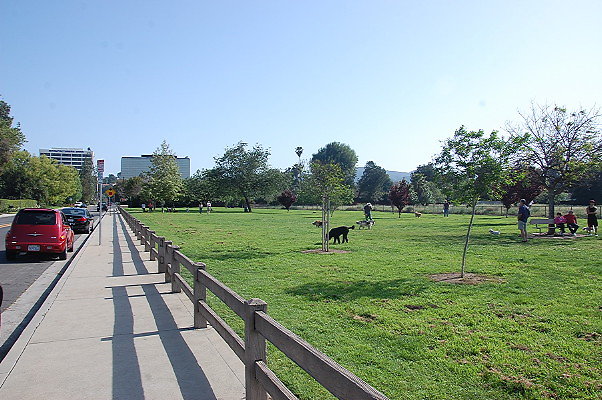 DSC 0262