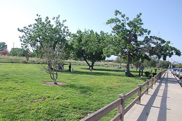 DSC 0264