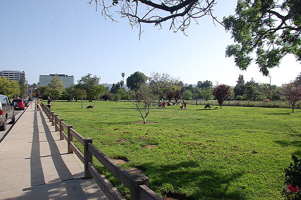 DSC 0277