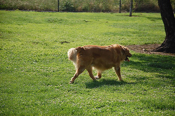 DSC 0289