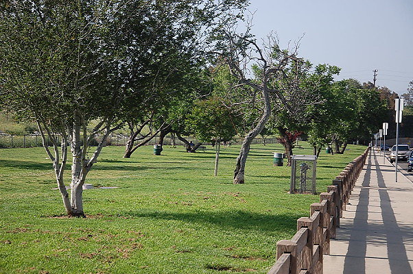 DSC 0285