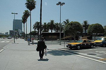 DSC 0010