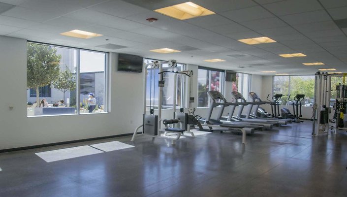 Hive-Building-3335-Fitness-Center-Gym-002