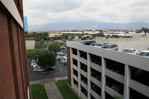IMG 0335