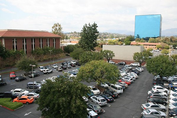 IMG 0418