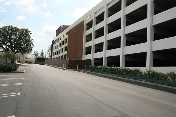 IMG 0345