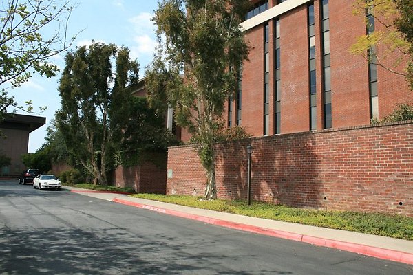 IMG 0413