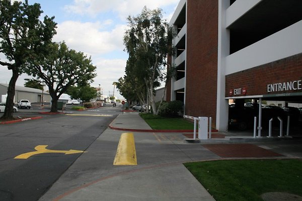 IMG 0339