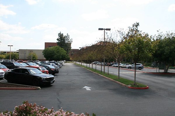 IMG 0373