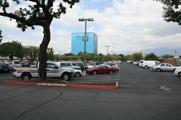 IMG 0342