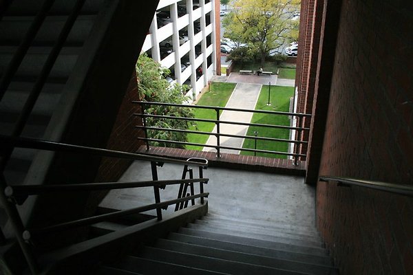 IMG 0336