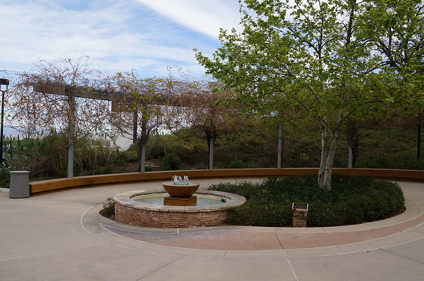 DSC00260