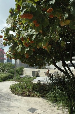 Disney.Hall.Ext.Theater.03