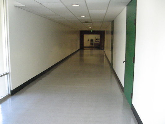 Cal.Arts.41