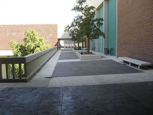 Cal.Arts.05