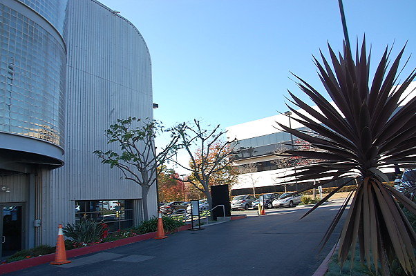 DSC 0004