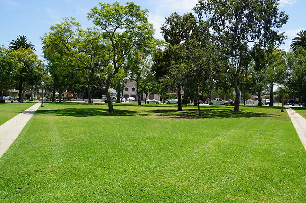 Carlson.Park.CC.11