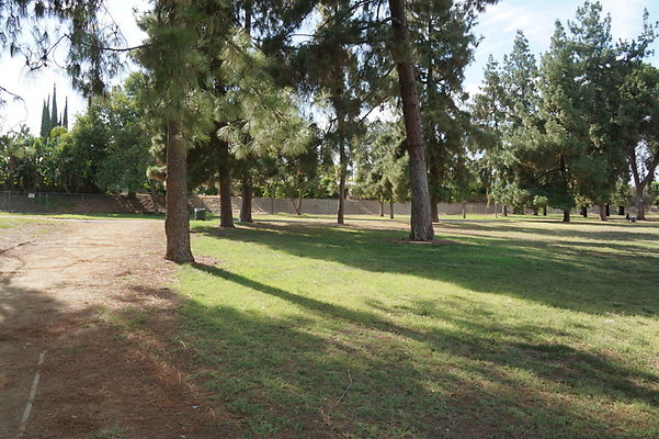 Balboa Park.Paths.18