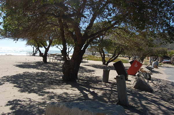 DSC 0310