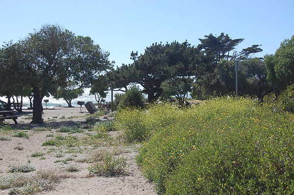 DSC 0383