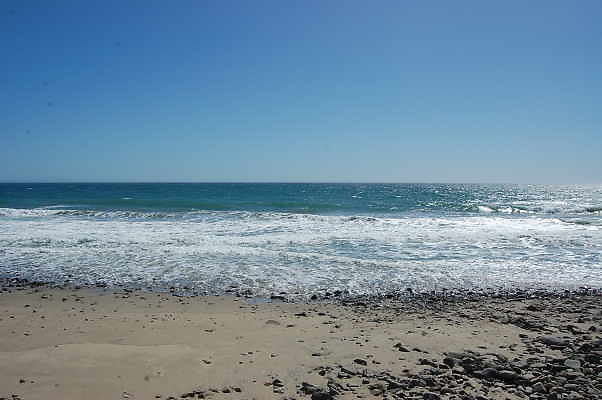 DSC 0320