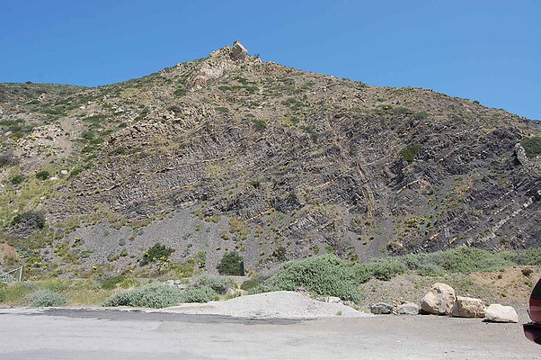DSC 0195