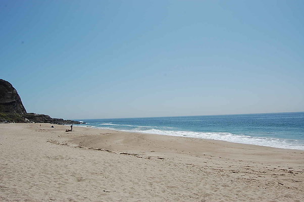 DSC 0165